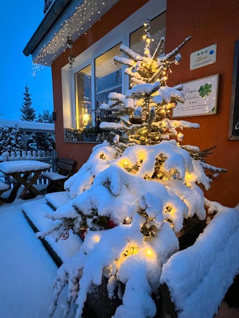 Pension Muehlhahn Schierke Extérieur photo